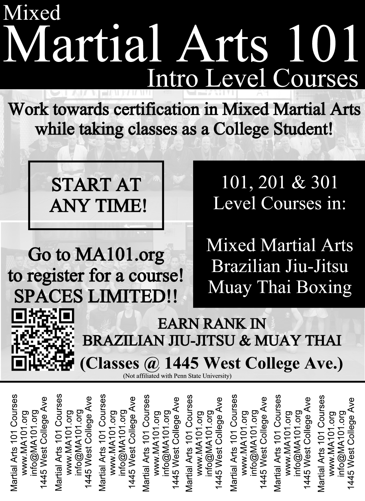 Beginner martial arts flyer for Penn State and State College students